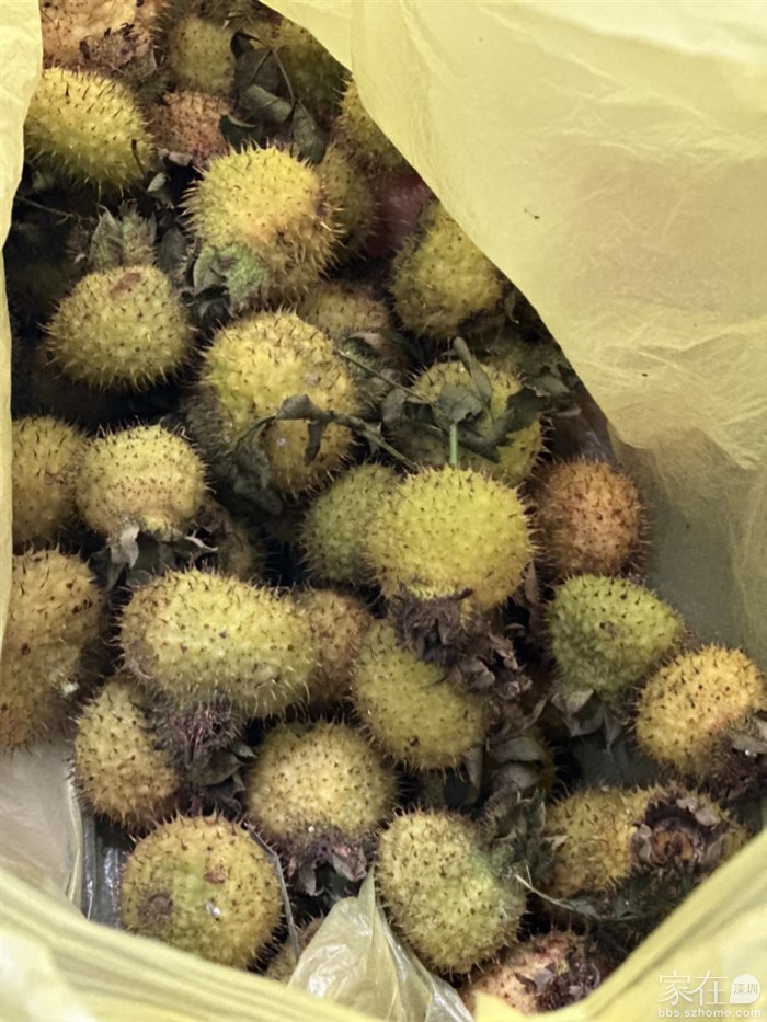 贵州特产刺梨，维C含量是猕猴桃3倍，新鲜的味道很涩，晒干了泡酒