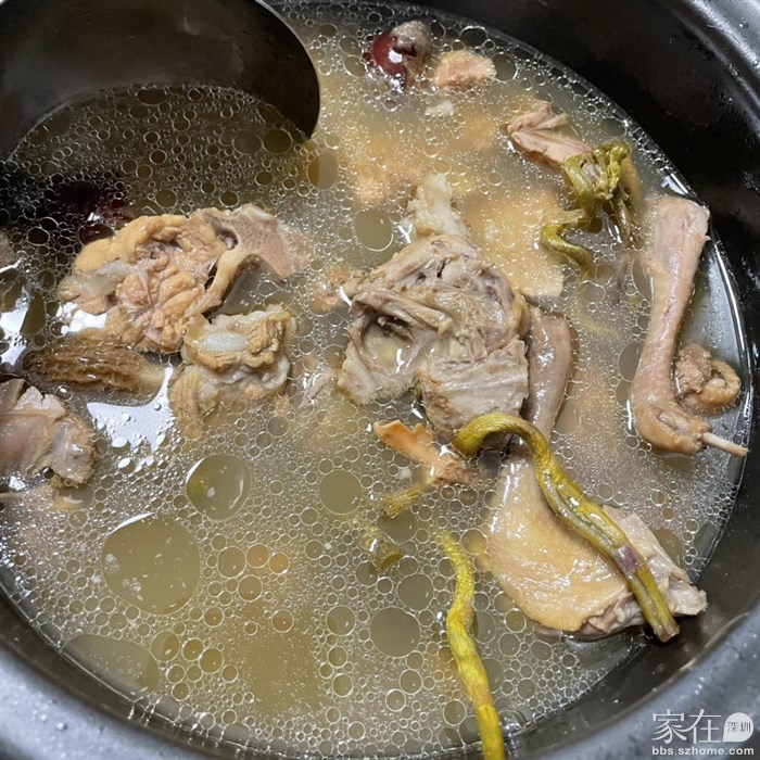 石斛羊肚菌鸽子汤