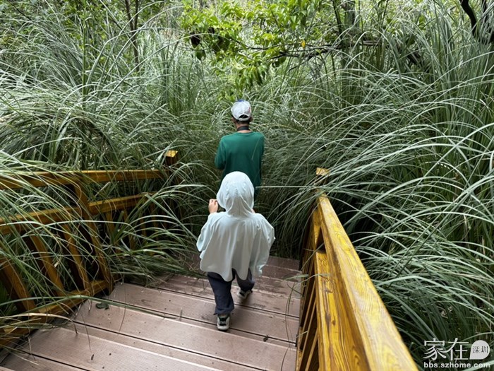 随处一个小小探险路