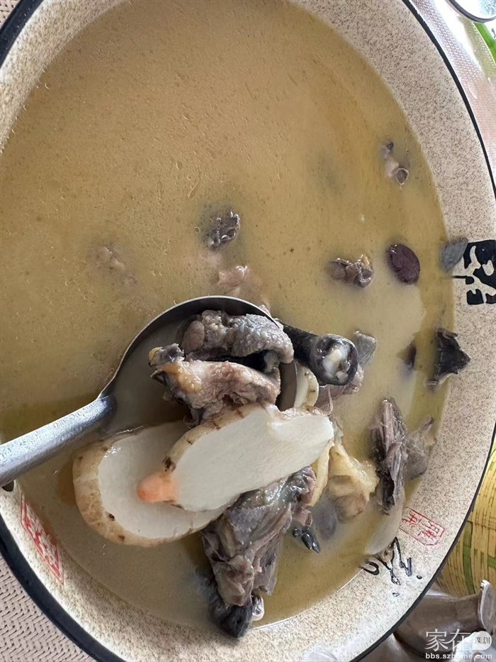 山脚下的天麻鸡汤