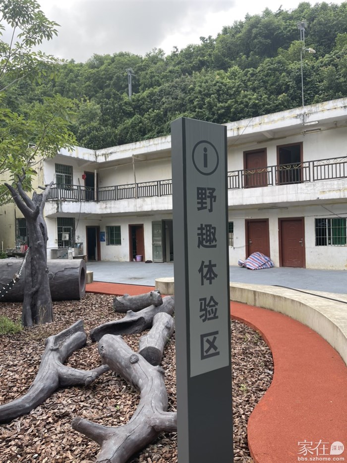 问峰坪，再往里走的道路还没修好