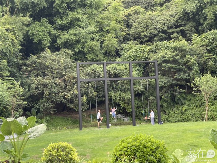 奇幽谷，有一个超高的秋千