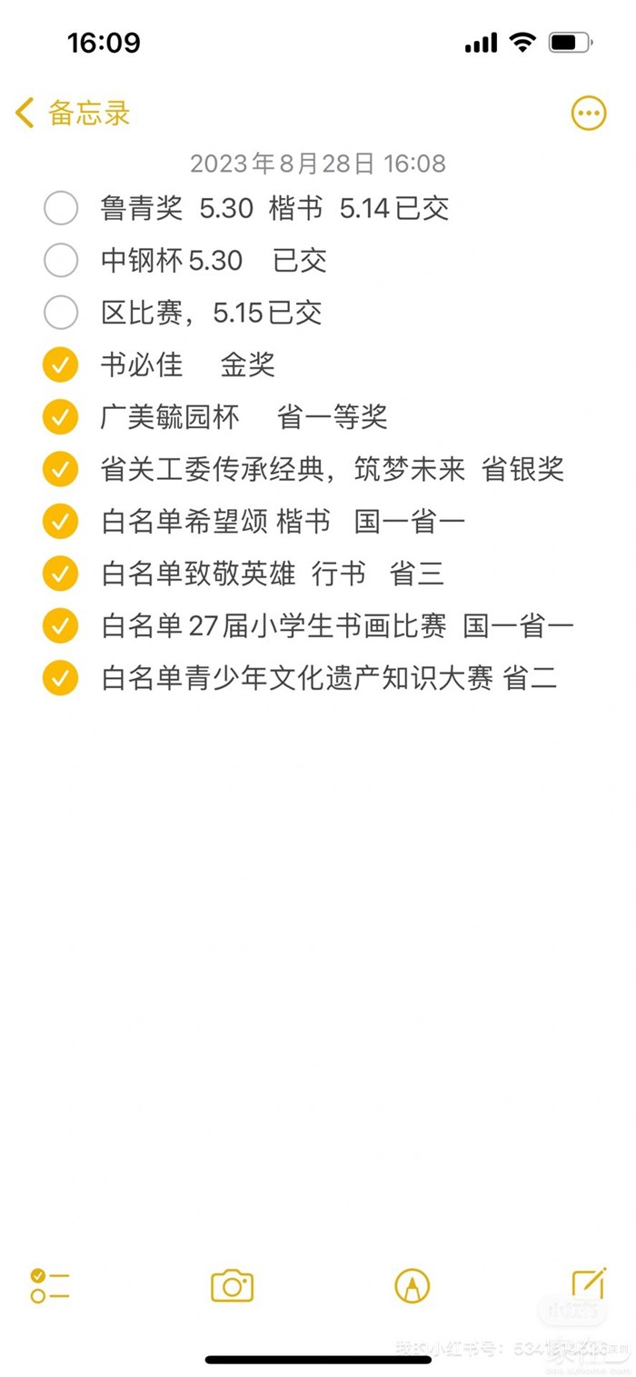 朋友圈不好发系列，记录一下今夏开的奖