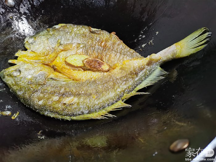 解冻、厨房纸吸干，少量油加姜，内外二圈中小火煎制黄鱼二面。