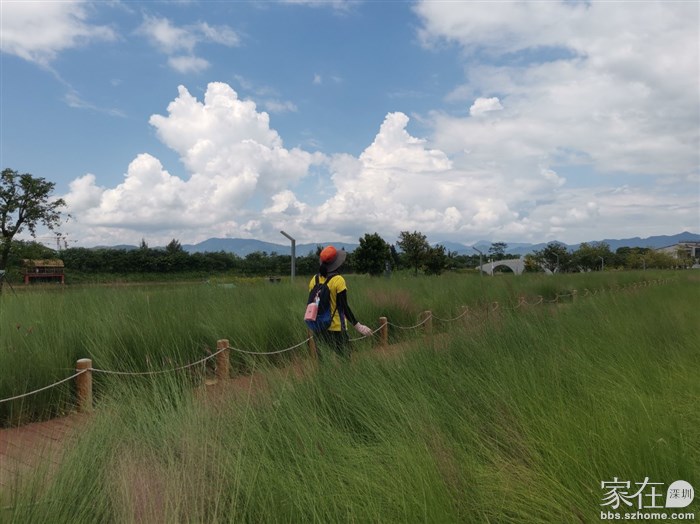 国庆后这又是一片粉了吧