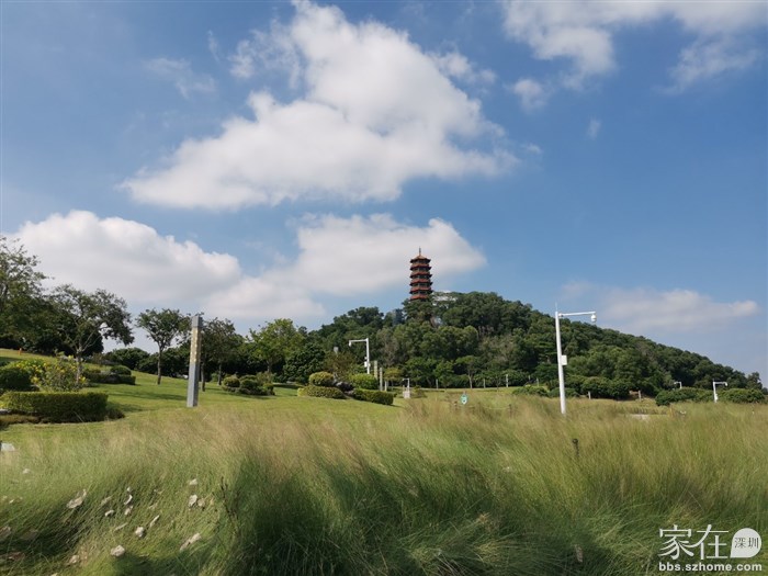 前几天去的乱草还是绿的多