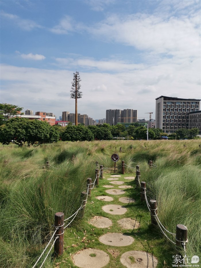 四通八达的步道，随意逛随便拍，但就不要进草地拍照了，现场看到不少被压倒的