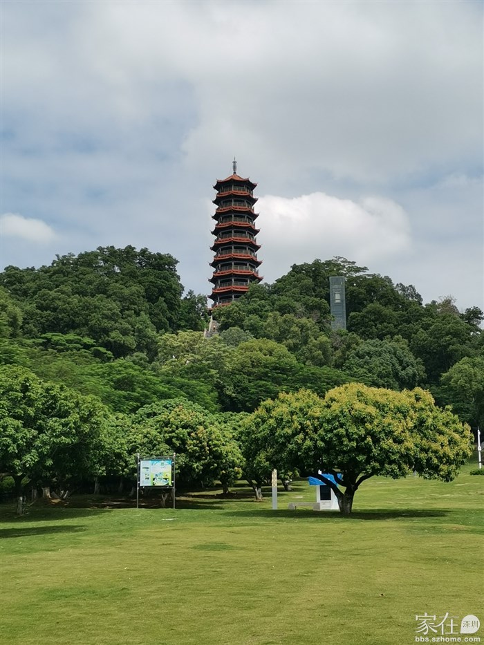 公园基本每个角度都可看到塔，公园里很多荔枝树，开阔地的树下放有一些大石，在树荫下休息还是不错的