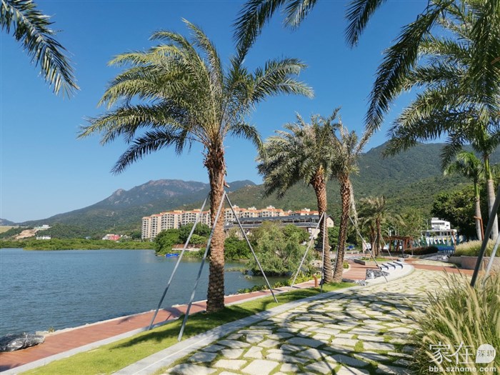 车子进入东涌社区就明显感觉东涌变美变整洁了，路边都种了花草绿植，人行道也翻新过，河边居然有步道了，对面山坡上看到有观景台……后面查了一下，原来这是大鹏新区城市第六立面提升改造（东涌片区试点）工程项目，具体内容网上都能查到，这里就不复制粘贴了。