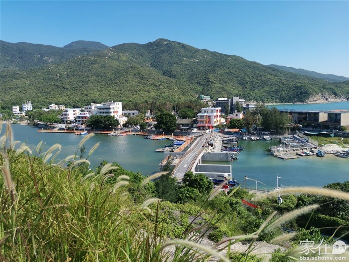 扫码后上山，没走几分钟就有不错的风景