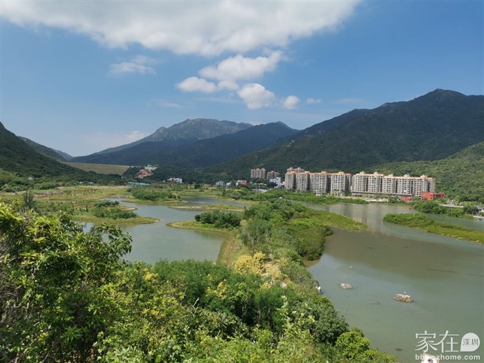 也可以看到湿地公园