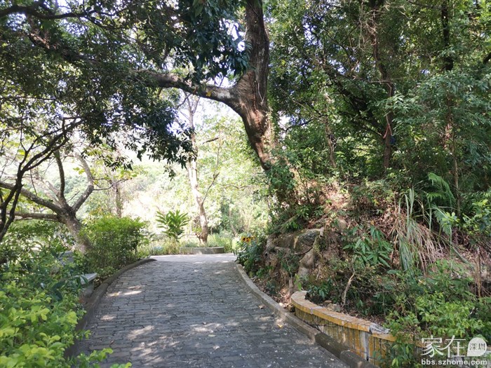 在沙岗公园转了一圈看到右边有条野径