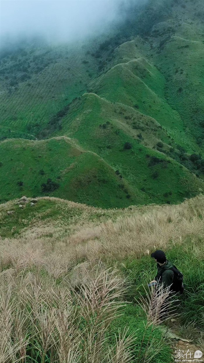 去年去早了，今年再等等…