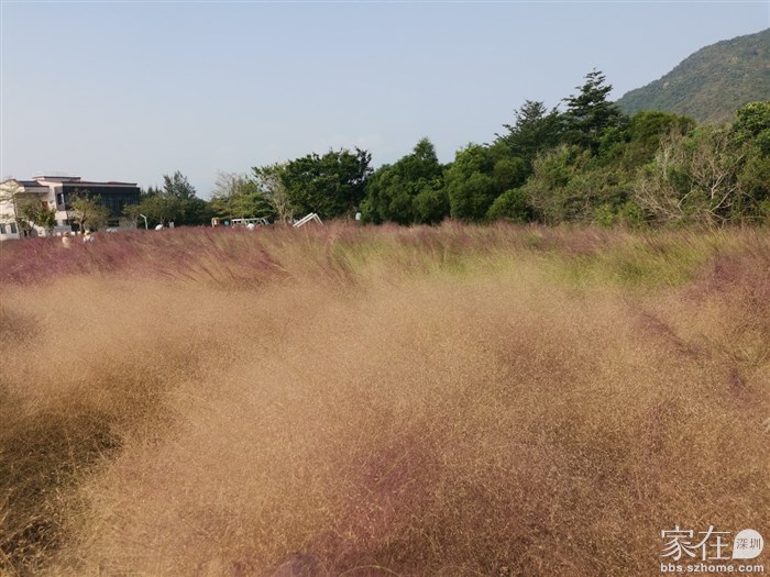 喜欢这绒绒的感觉