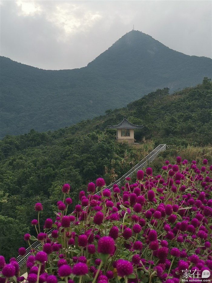 坐云海专线到醉樱亭站下，刚下车是阴天