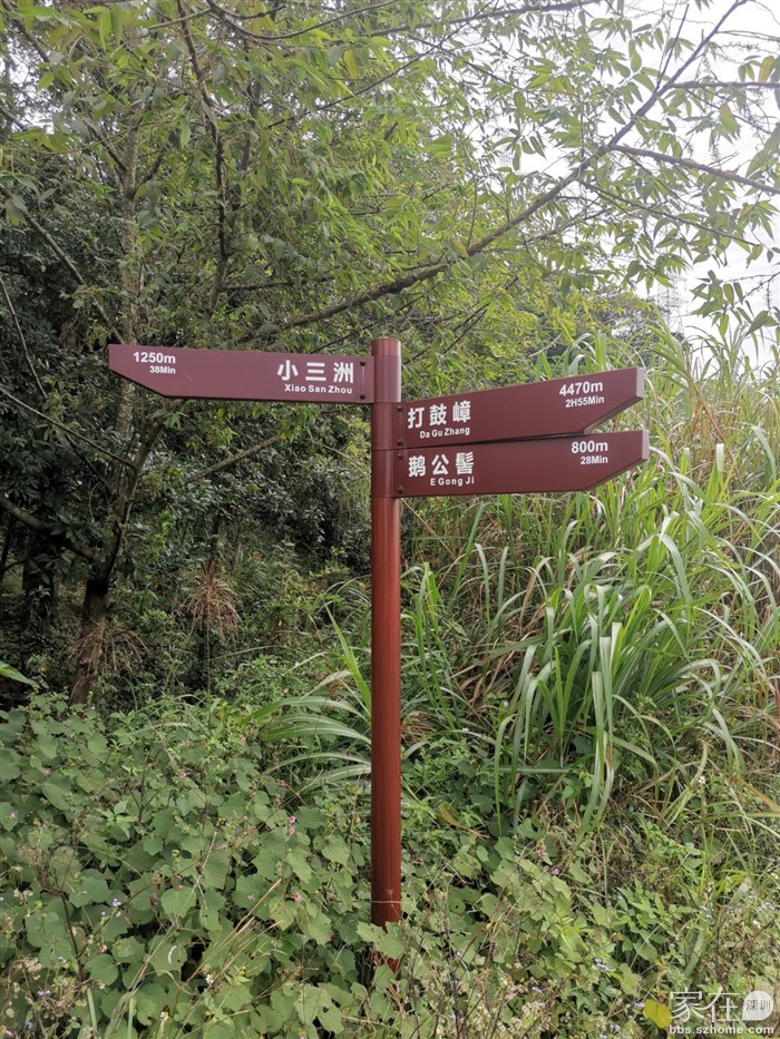 右边是往小三洲的，刚如上土路应该也是到这