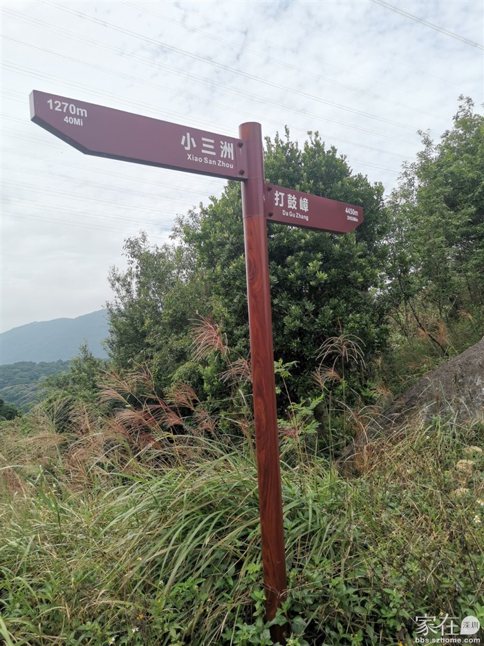 还是打鼓嶂方向