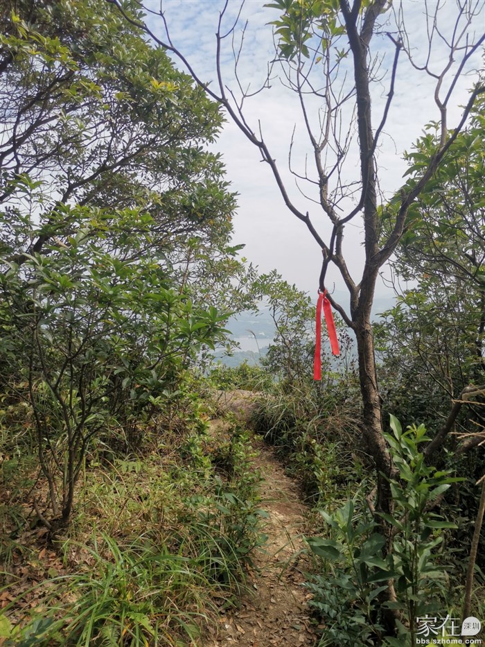 注意路边小径，出去看看风景