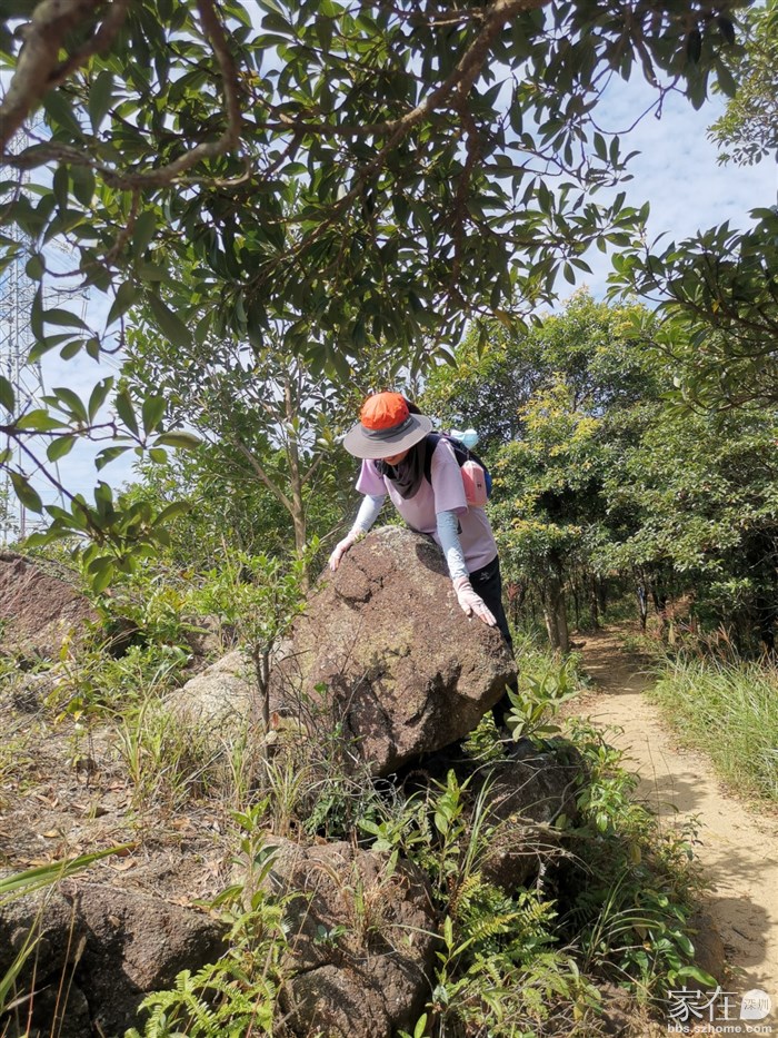 路边有不少大石，看着像啥就是啥