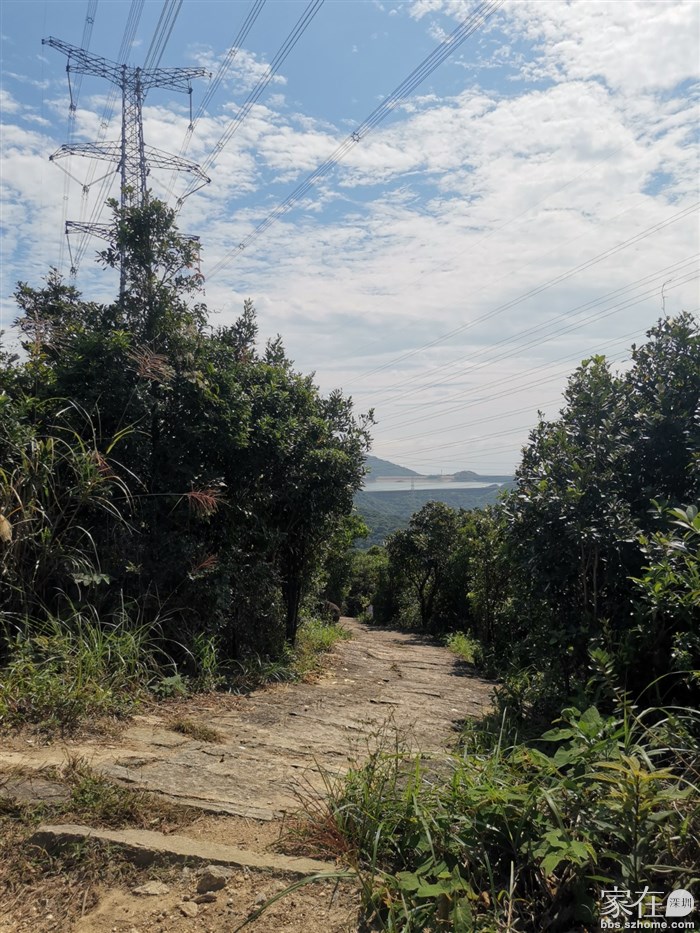 走这石板路往园山