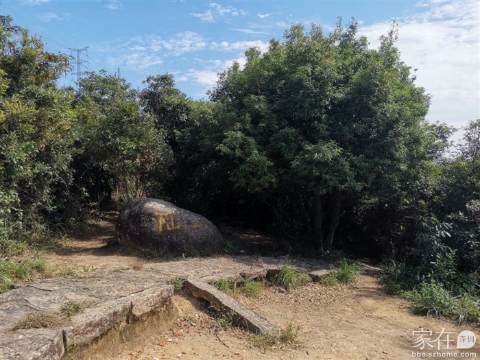 从图中左边下来的，一会从右边下