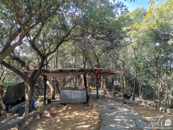 小卖部没人，放有一箱水，十元一瓶，自觉扫码购买，这树荫下有石凳，大家一般在这休息一下，小卖部过去一点也有两条下山路，没见路牌，如以后来再去探索了。