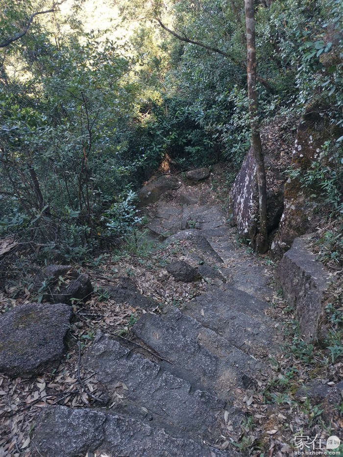 走完栈道，又是不规则的石阶路，对膝盖太不友好了。