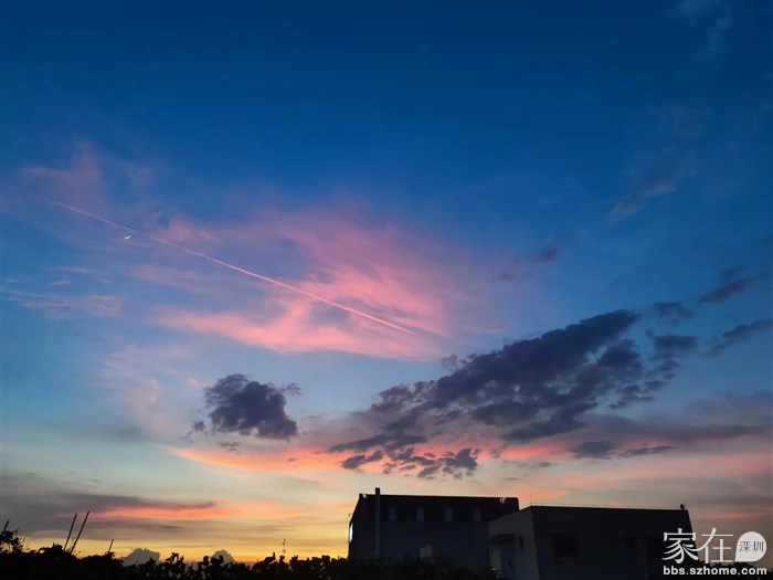 像滑行中的企鹅