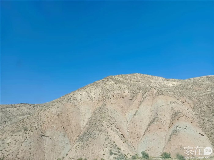 越往西山上植被越少