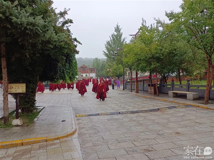 早上去上班的僧侣