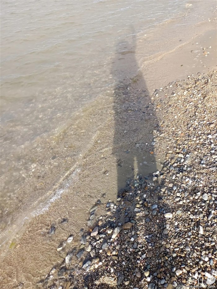 湖边夕阳下留个影