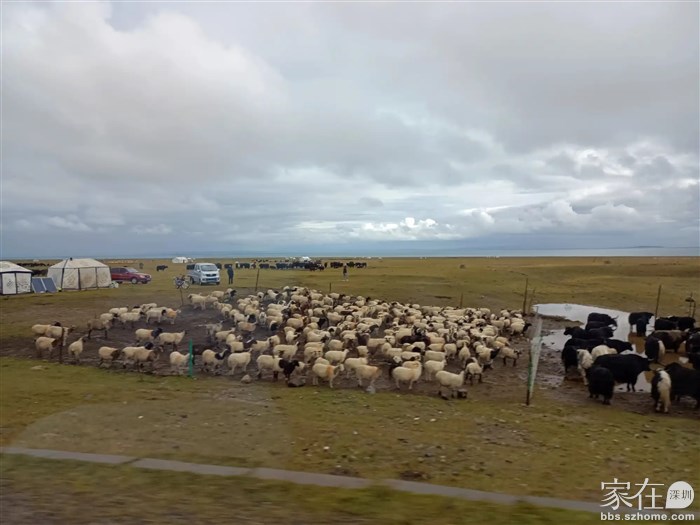 海西蒙古族藏族自治州草原牧场