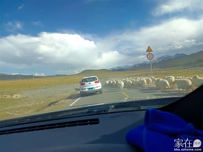 不让道看你能怎样？