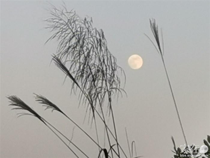 太阳还没下山，月亮已升起，十四的月亮已是又大又圆