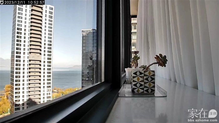 这个多肉看他能不能坚持到明年5月