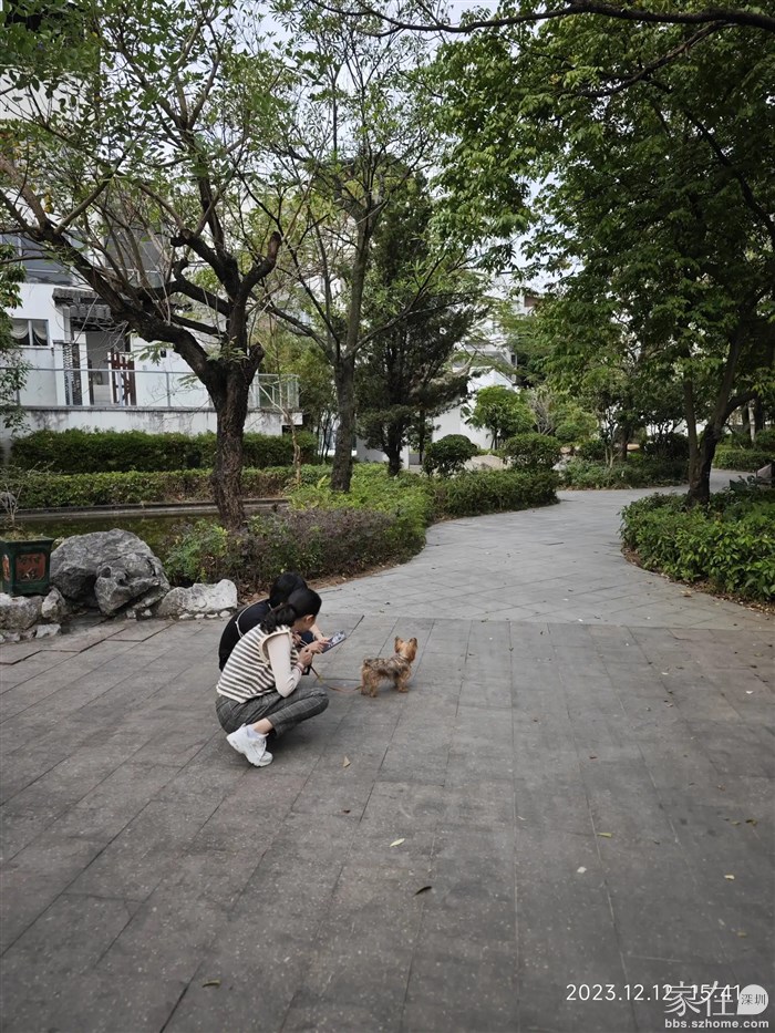 村子邻居在研究啥