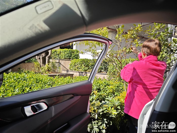 才进村子领导就要摘果实了，她讲这个就是椰子鸡配的那一种小橘子。