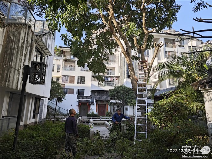 砍到这个份上够了改善了采光，倒也不会倒向我这边了。