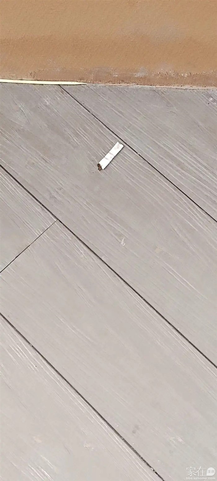 禁烟的城市处处可见烟头