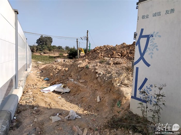 南方科技大学附属平湖学校