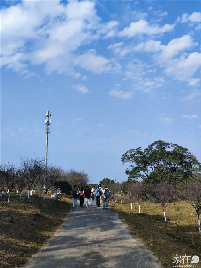 队伍变成是12个人，吃饭的间隙，我过去跟那3个姐姐聊天，一个劲的夸她们厨艺好， 一个姐姐很热情，夹了一块鸡肉给我，我一个劲的夸很好吃。很好吃，然后马上回自己桌(她们做菜放辣椒，我吃不了辣，马上回去喝水)