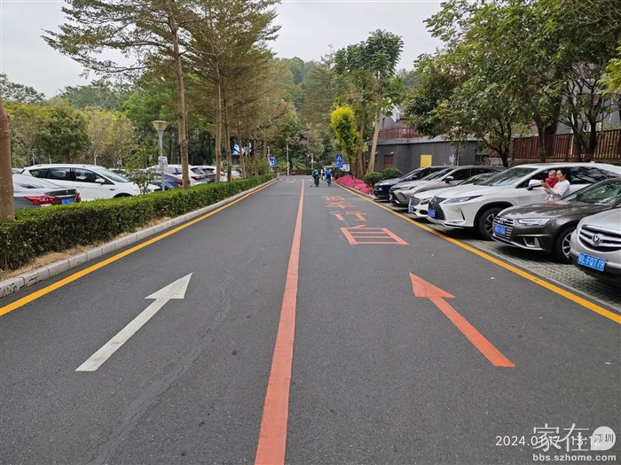 这红花湖主持骑行，这不停车场都是骑行道跟车行道一样宽。