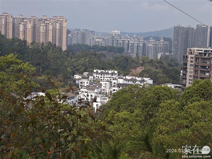 隐藏在密林里的村子