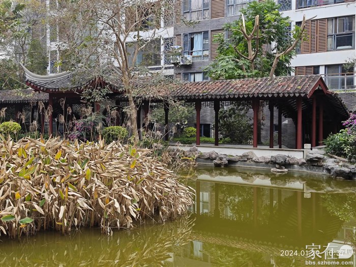 还是自己村子漂亮