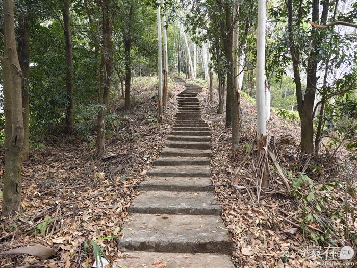 前一个周日，村民们义务劳动打扫干净的上山道。