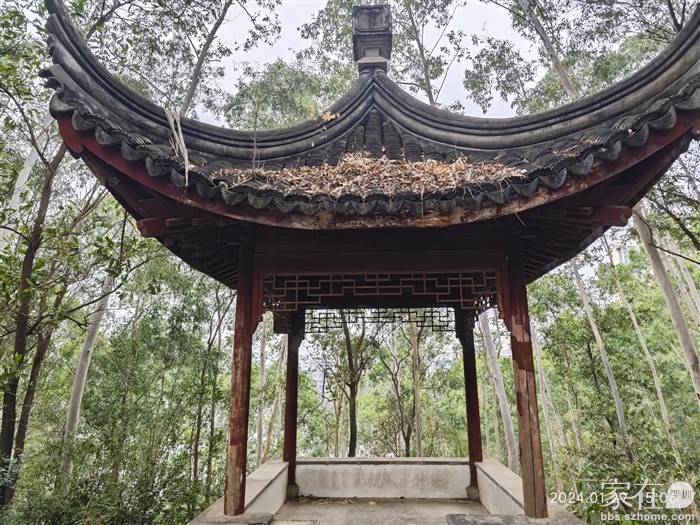 这个亭子好奇怪，村子里的都倒了两波了，可这个后山上的完全没人管的反而好好的，没有白蚁蛀。