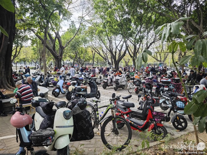 老城区就是旺，惠城区作为原来包括深圳、东莞都属他管的老市区，根本不是惠阳、大亚湾那些乡下地方所能比得了的。