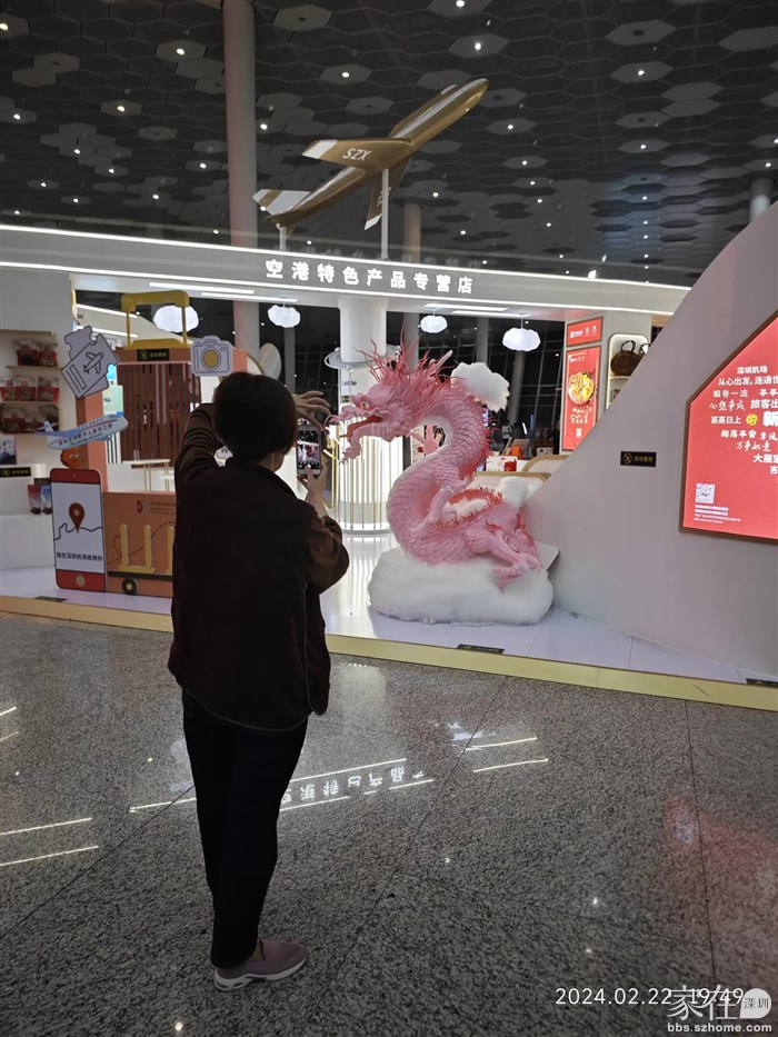 这个粉色的龙领导讲是骚龙