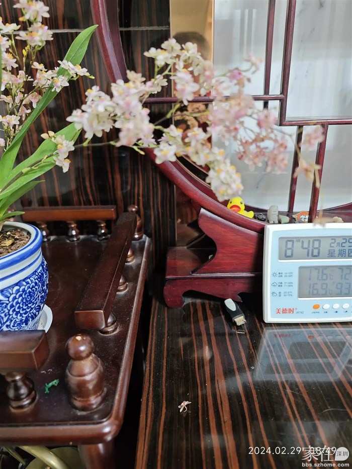 这棵梦香太历害了，到现在才又掉了一个花瓣，总共一个月时间就才掉了2个花瓣，而且淡淡的幽香一直都在，才30元还有什么花能有他值的。