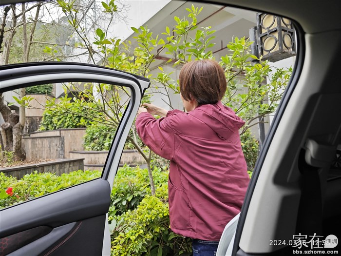 回到村子里领导又惦记着那棵小橘子树，收了3个，这颗结的果跟椰子鸡配的那种是一样的。